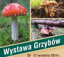 Wystawa grzybów - Zapraszamy